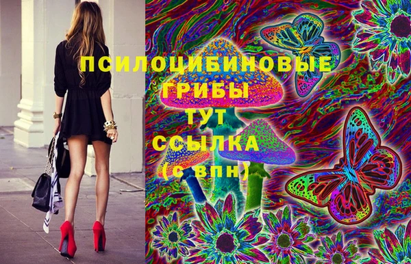 mdpv Дмитриев